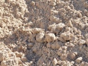 Brickie Sand (White) - Per Scoop - Rodgers Building and Landscaping Supplies