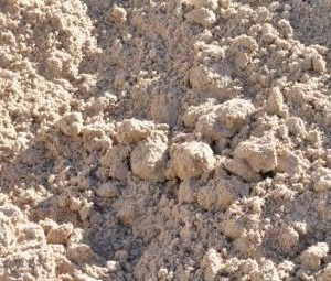 Brickie Sand (White) - Per Scoop - Rodgers Building and Landscaping Supplies