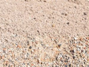 Fill Sand Unscreened
