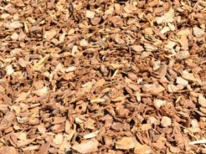 Pine Bark (14mm)