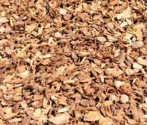 Pine Bark (14mm)